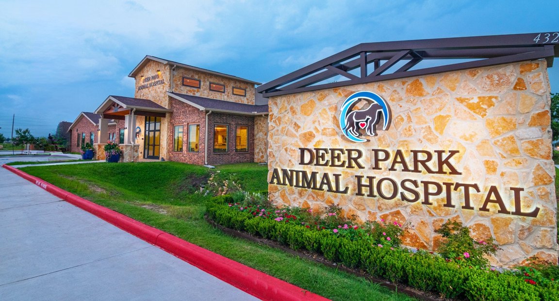 Deer Park Animal Hospital's stone-and-brick building and lit monument sign at dusk