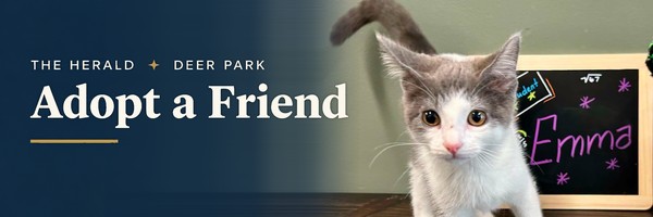 Adopt a Friend